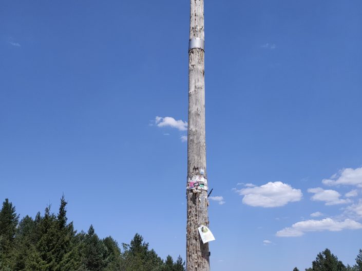 Marta nel Mondo