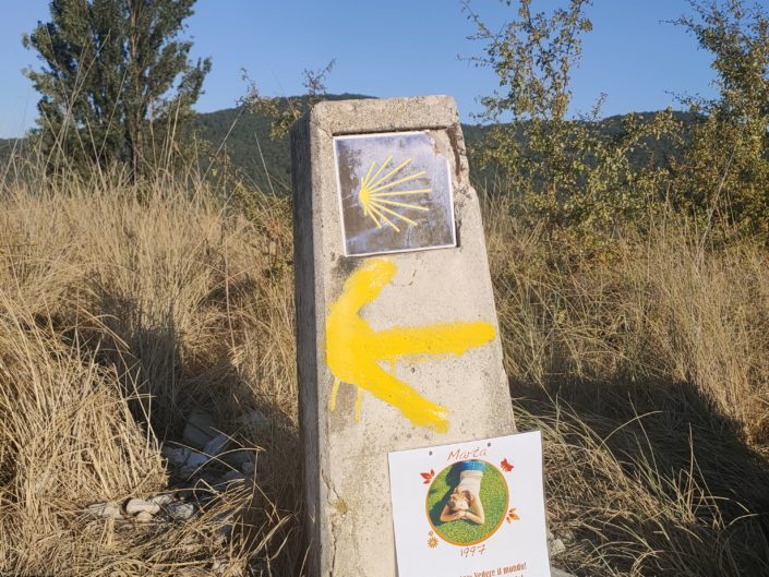 Marta nel Mondo