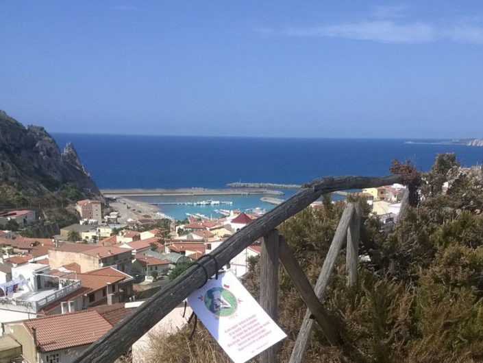 Marta nel mondo