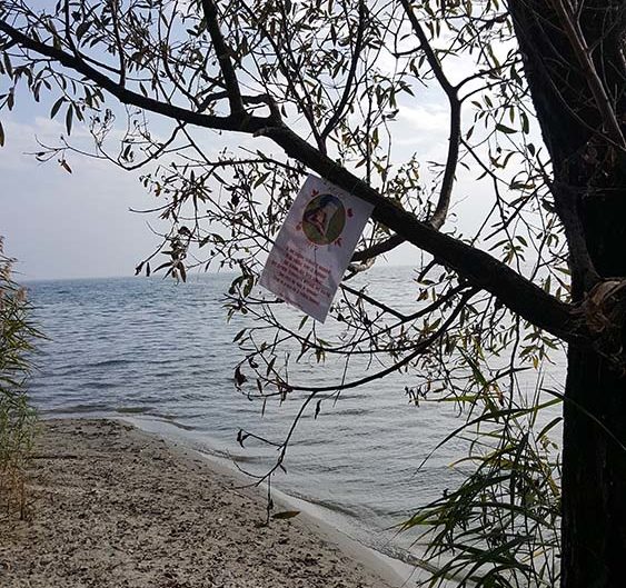 Marta nel mondo