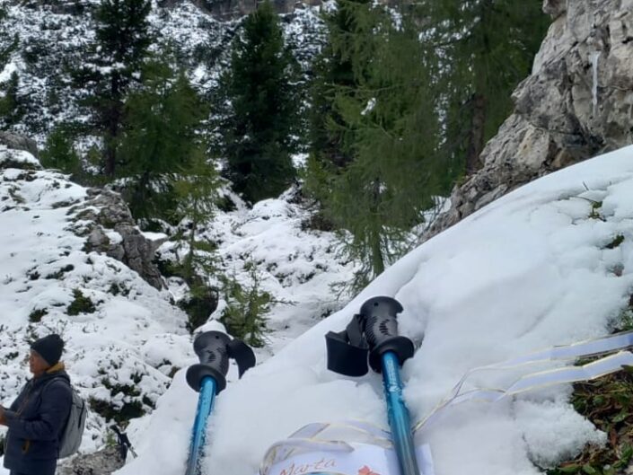 Marta nel Mondo