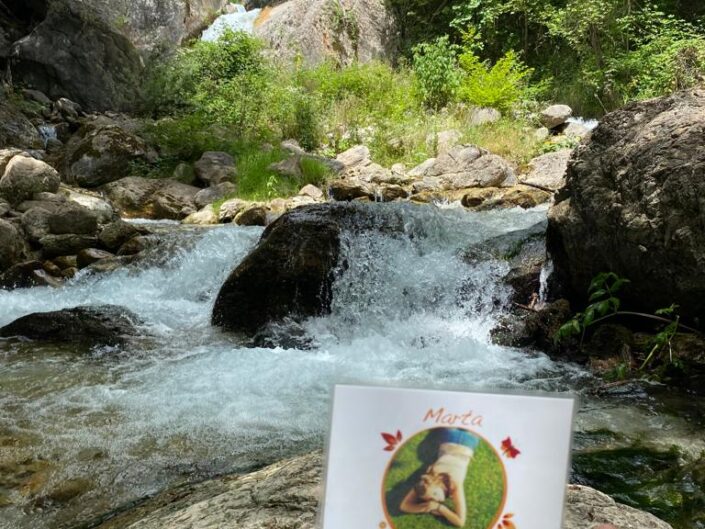 Marta nel mondo