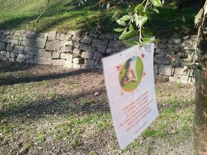 Marta nel mondo