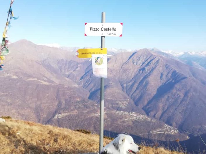 Marta nel mondo