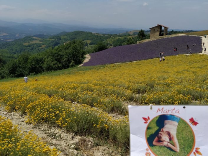 Marta nel mondo
