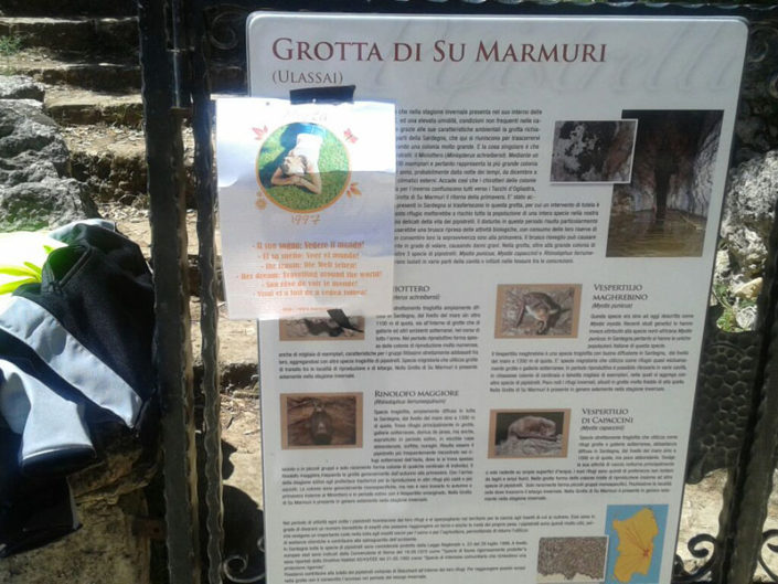 Marta nel Mondo