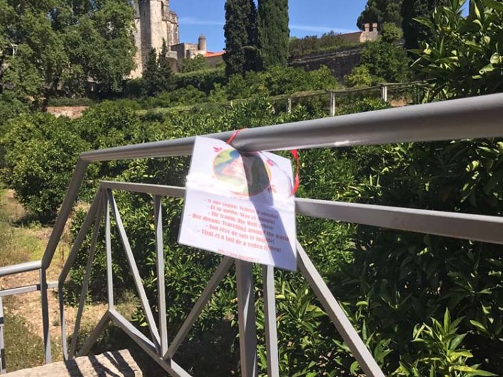 Marta nel mondo