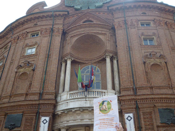 Marta nel mondo