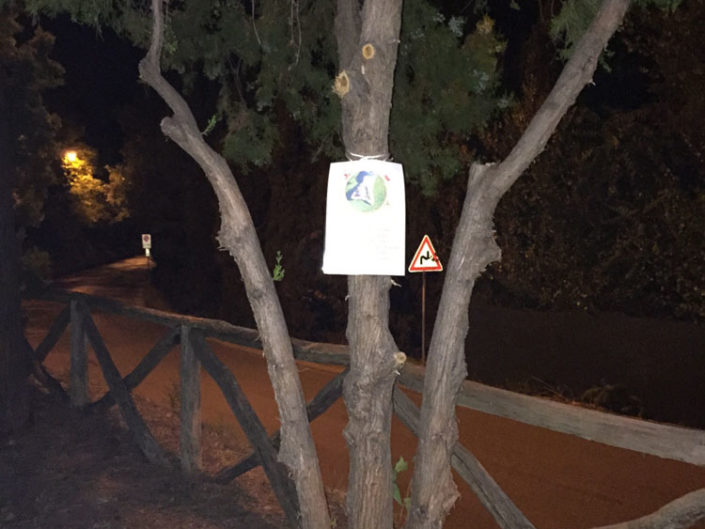 Mrta nel Mondo