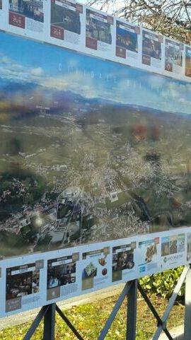 Marta nel Mondo