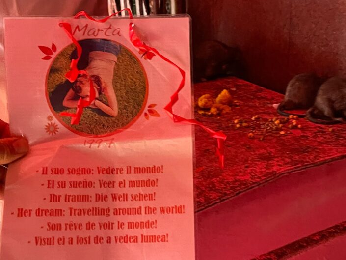 Marta nel mondo