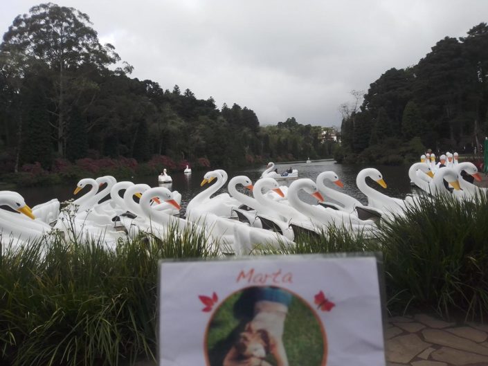 Marta nel Mondo