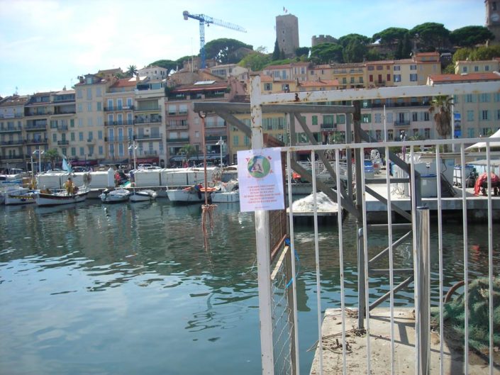 Marta nel mondo