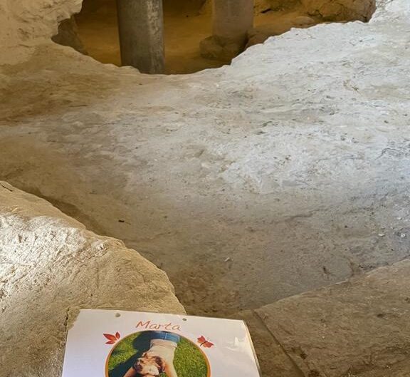 Marta nel Mondo