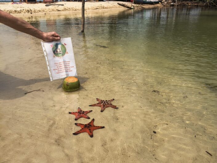 Marta nel Mondo