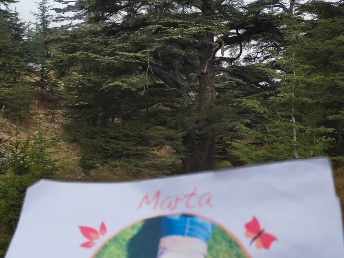 Marta nel mondo
